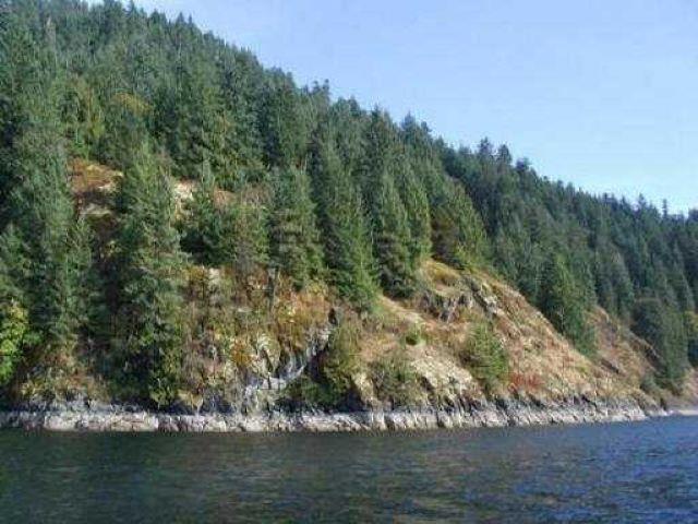 









3


Indian Arm

,
Port Moody,







BC
V3N 3M2

