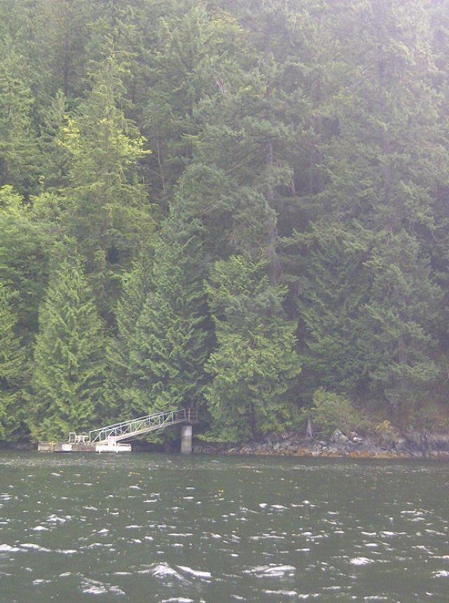 









3


Indian Arm

,
Port Moody,







BC
V3N 3M2

