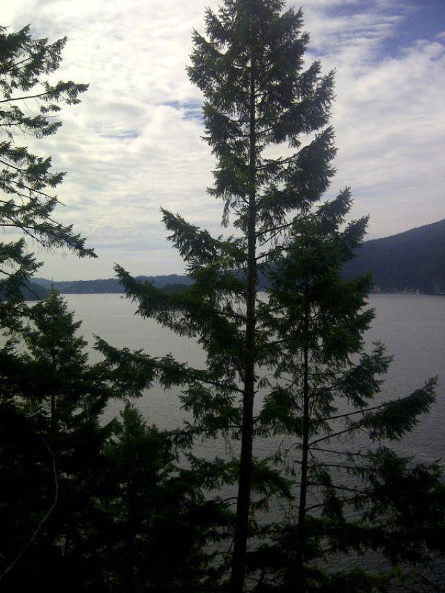 









3


Indian Arm

,
Port Moody,







BC
V3N 3M2

