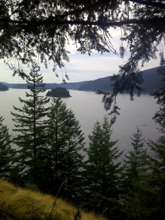 









3


Indian Arm

,
Port Moody,







BC
V3N 3M2


