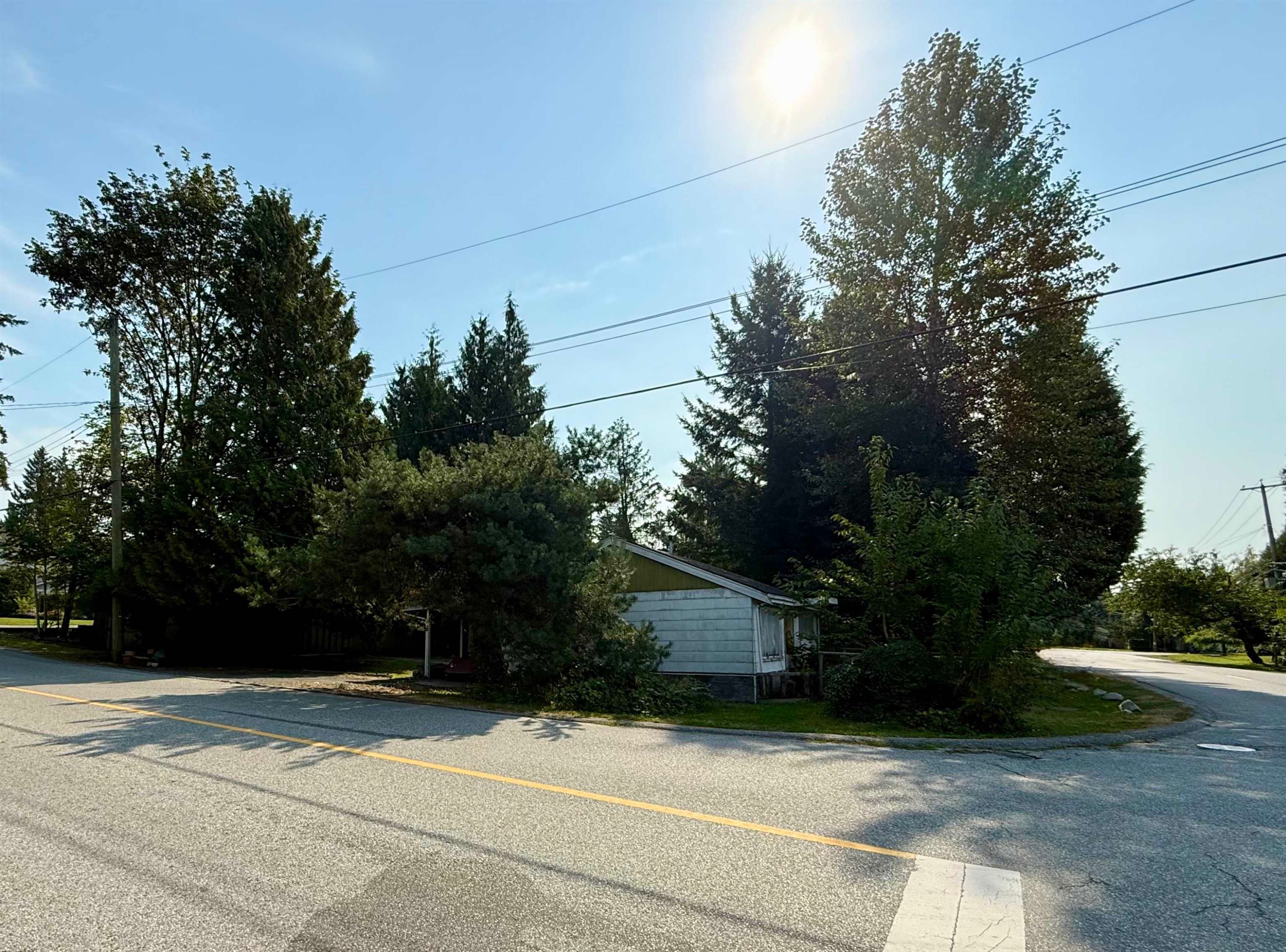 









11098


Princess

Street,
Maple Ridge,




BC
V2X 1M7

