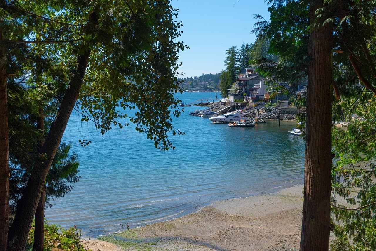









4855


Belcarra Bay

Road,
Port Moody,







BC
V3H 4N4

