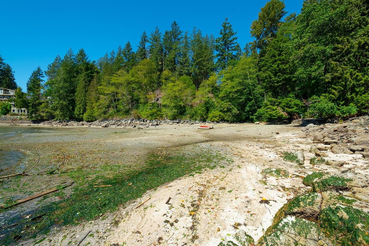









4855


Belcarra Bay

Road,
Port Moody,







BC
V3H 4N4

