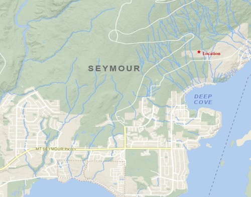 Featured Listing Photo 