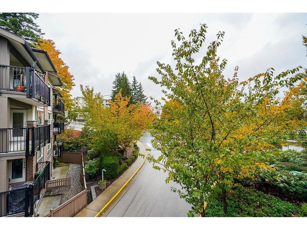 









11667


Haney

Bypass, 301,
Maple Ridge,




BC
V2X 8W9

