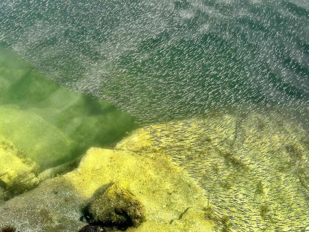 









SL 5B


Quarry

Bay,
Nelson Island,




BC
V0N 0V0

