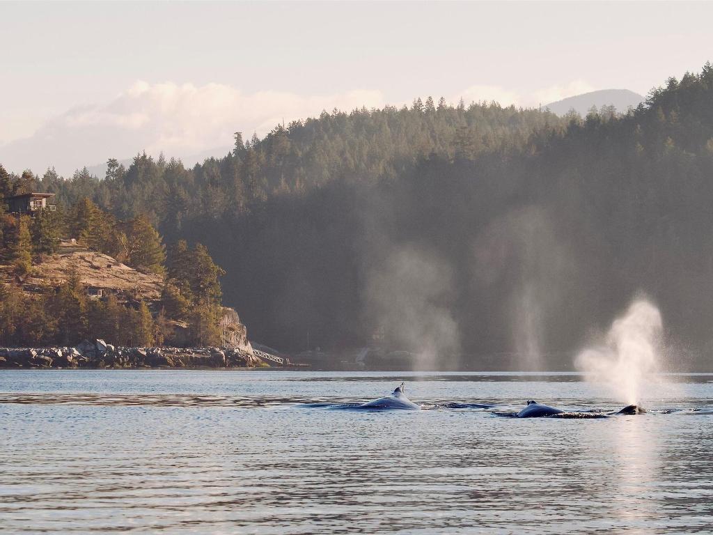 









SL 5B


Quarry

Bay,
Nelson Island,




BC
V0N 0V0

