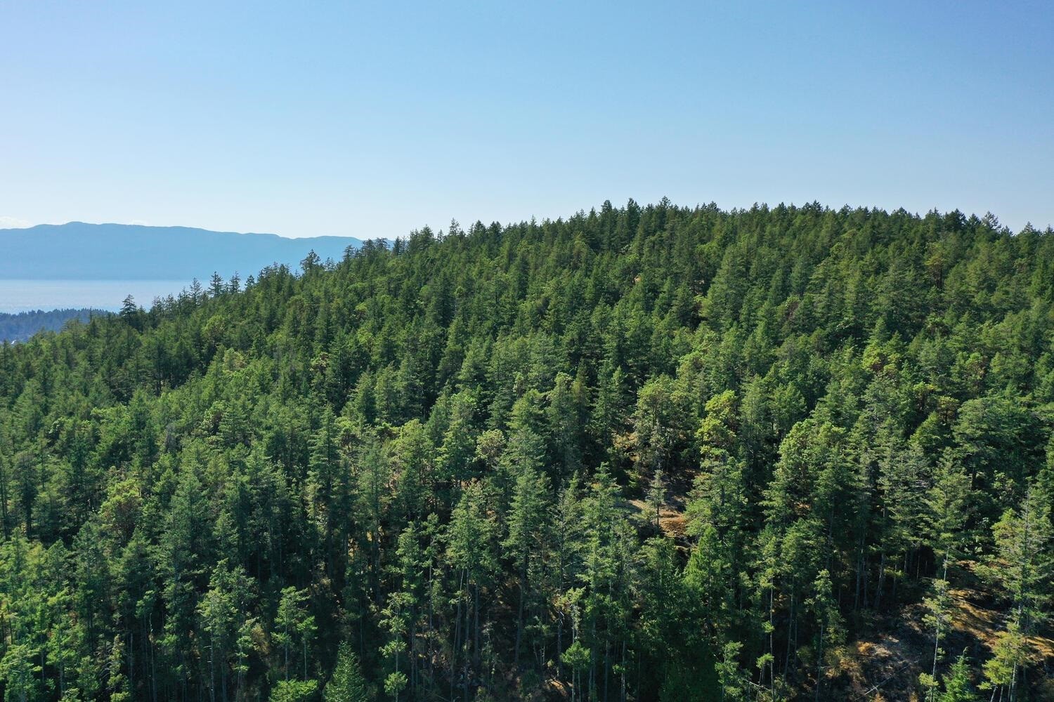









13685


Lee

Road, LOT 7,
Garden Bay,







BC
V0N 1S1

