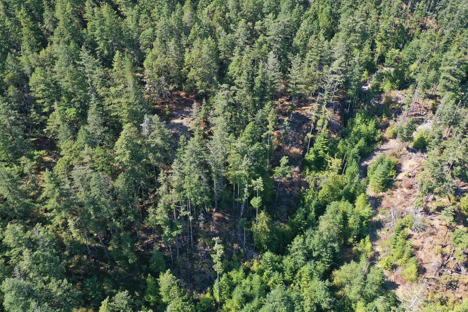 









13685


Lee

Road, LOT 7,
Garden Bay,







BC
V0N 1S1

