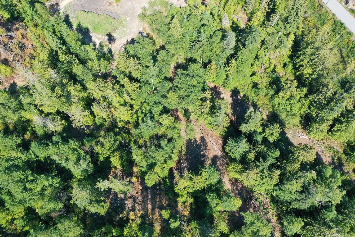 









13685


Lee

Road, LOT 7,
Garden Bay,







BC
V0N 1S1

