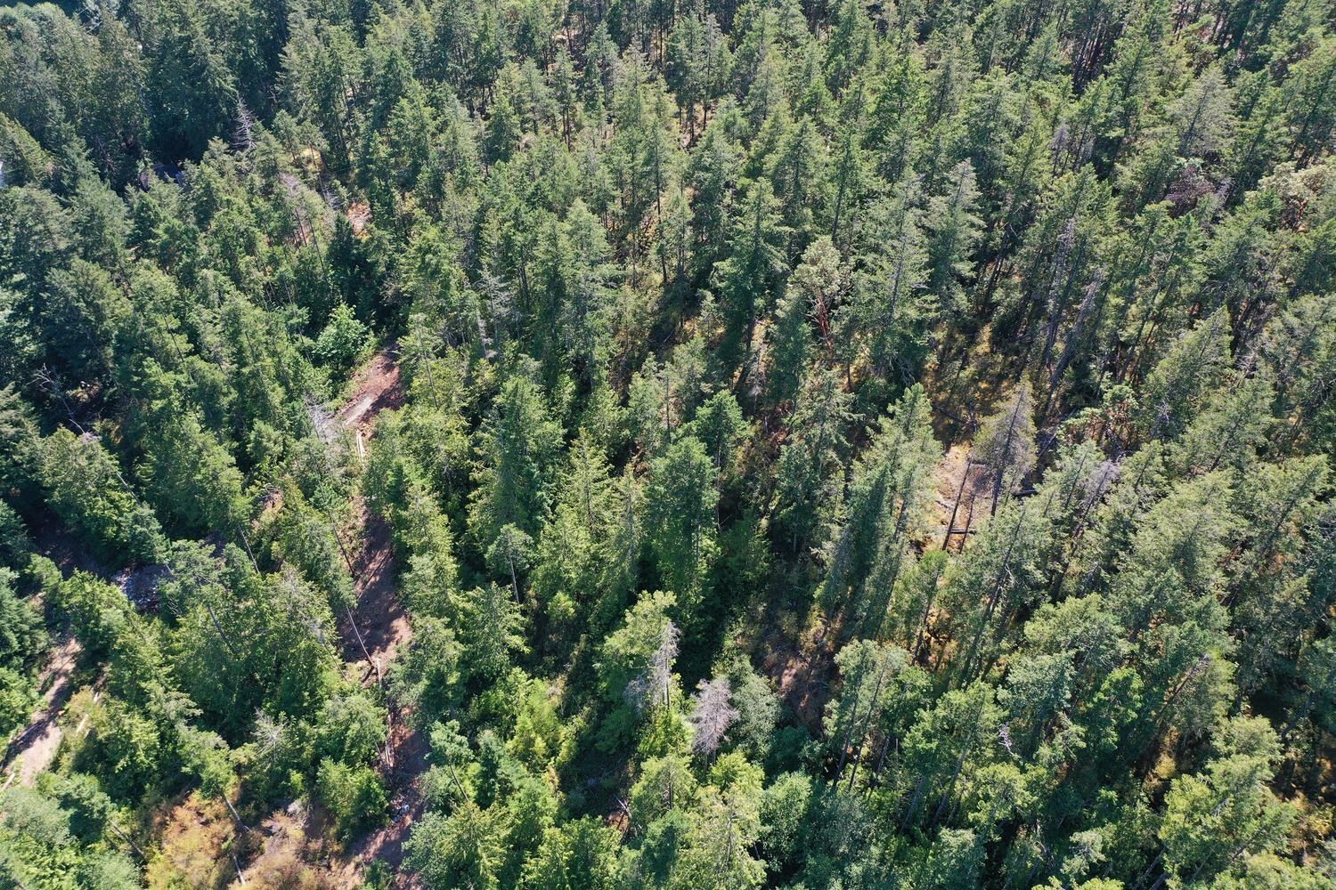 









13685


Lee

Road, LOT 7,
Garden Bay,







BC
V0N 1S1

