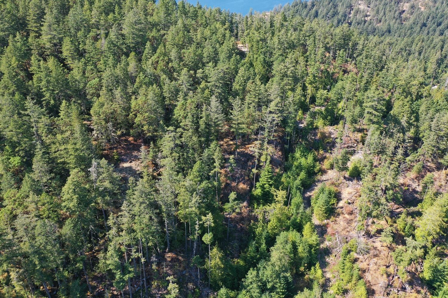 









13685


Lee

Road, LOT 7,
Garden Bay,







BC
V0N 1S1

