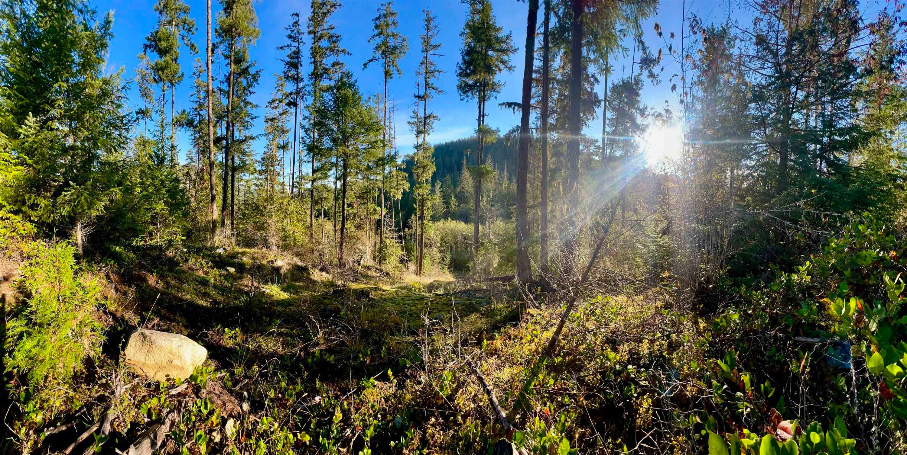 









13685


Lee

Road, LOT 7,
Garden Bay,







BC
V0N 1S1

