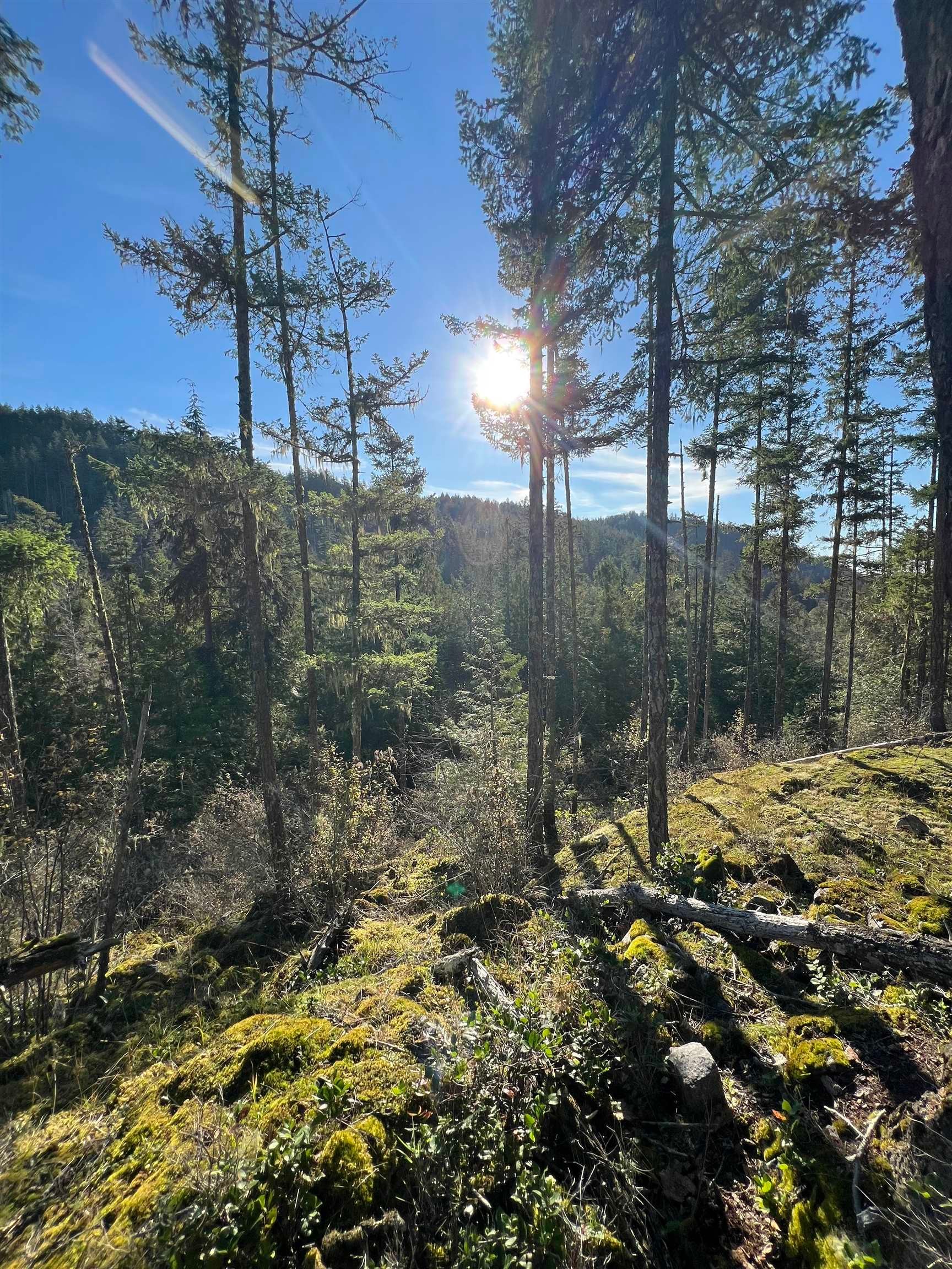 









13685


Lee

Road, LOT 7,
Garden Bay,







BC
V0N 1S1

