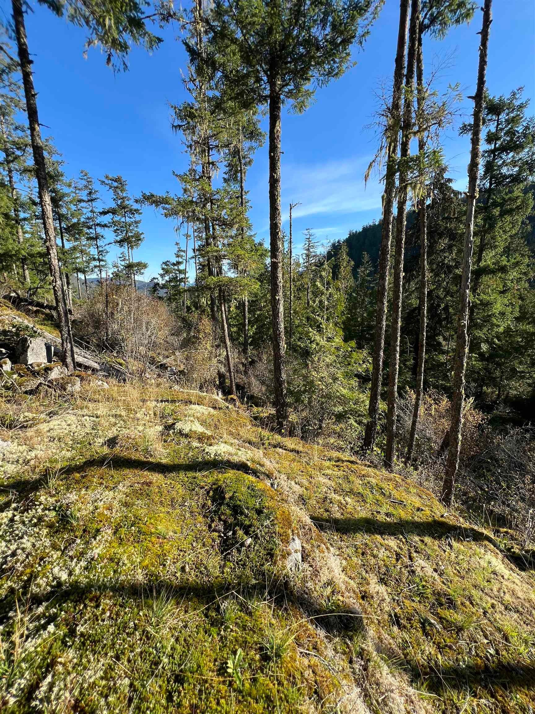 









13685


Lee

Road, LOT 7,
Garden Bay,







BC
V0N 1S1


