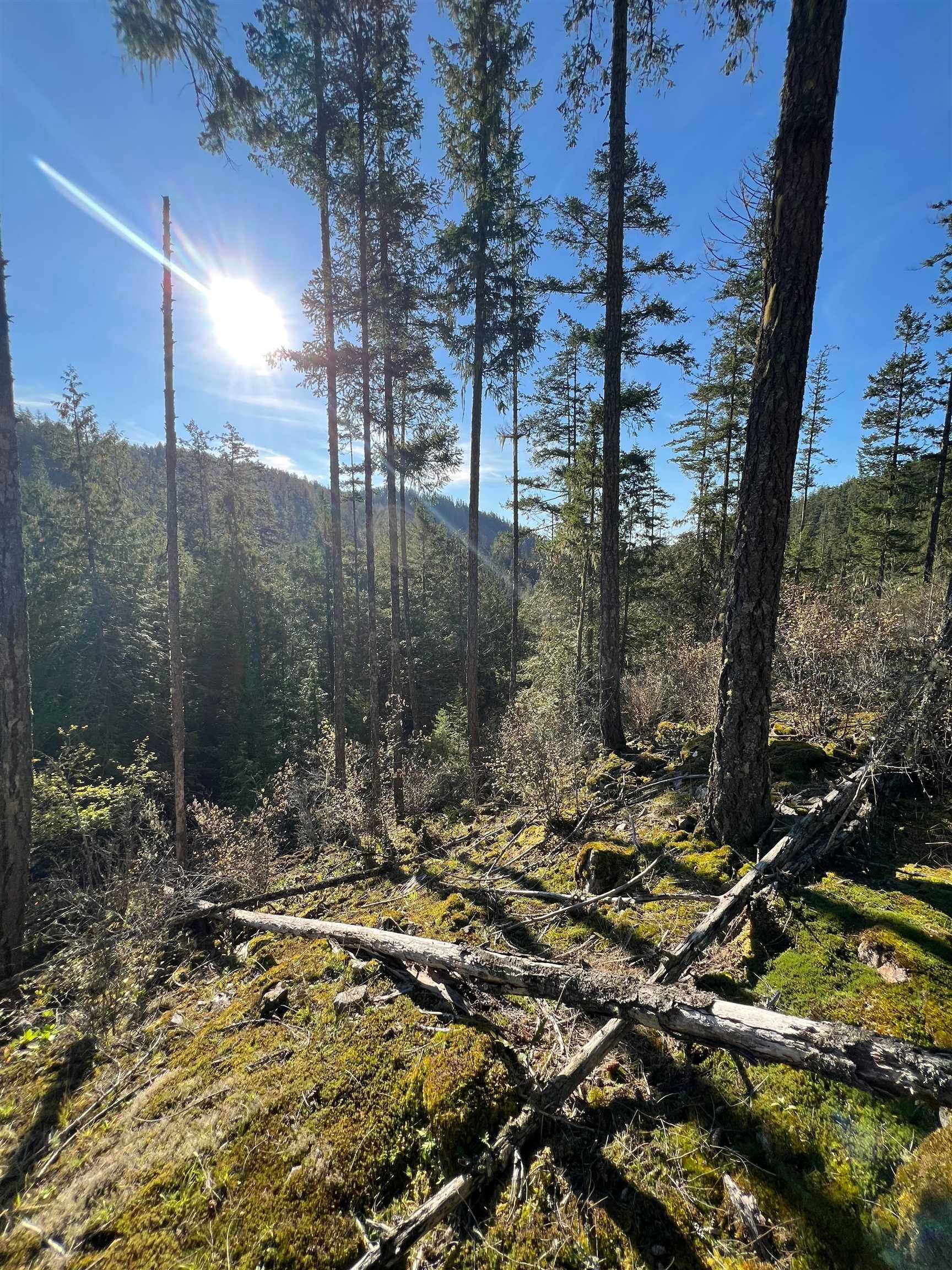 









13685


Lee

Road, LOT 7,
Garden Bay,







BC
V0N 1S1

