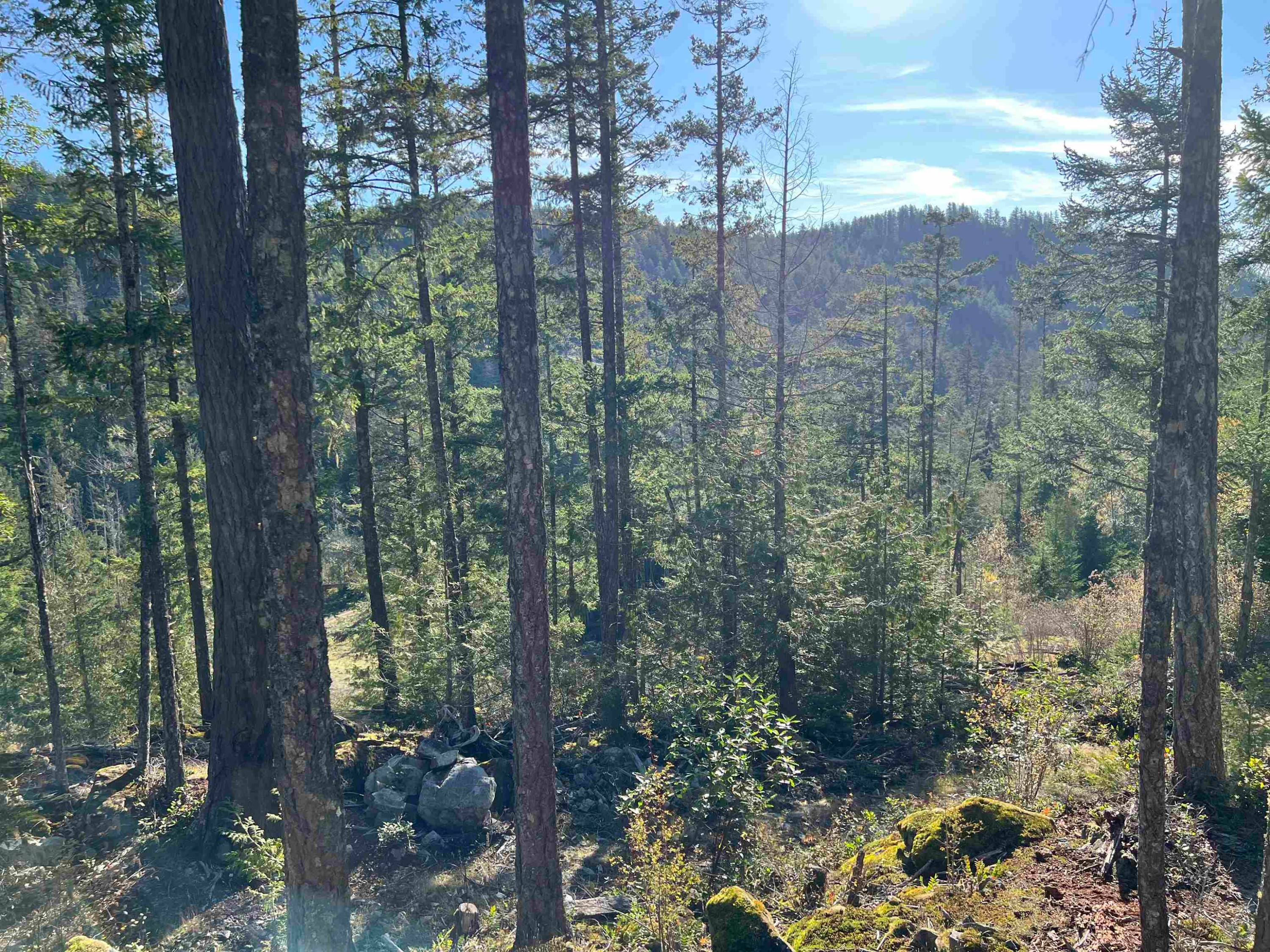 









13685


Lee

Road, LOT 7,
Garden Bay,







BC
V0N 1S1


