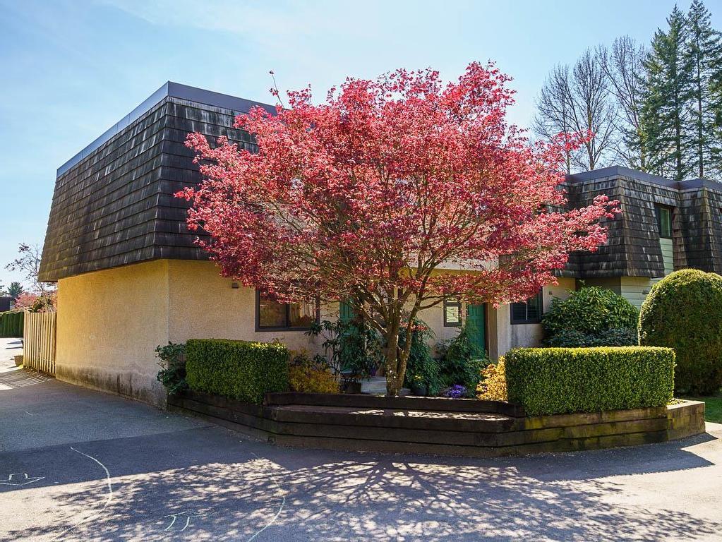









1116


Premier

Street,
North Vancouver,




BC
V7J 2H3

