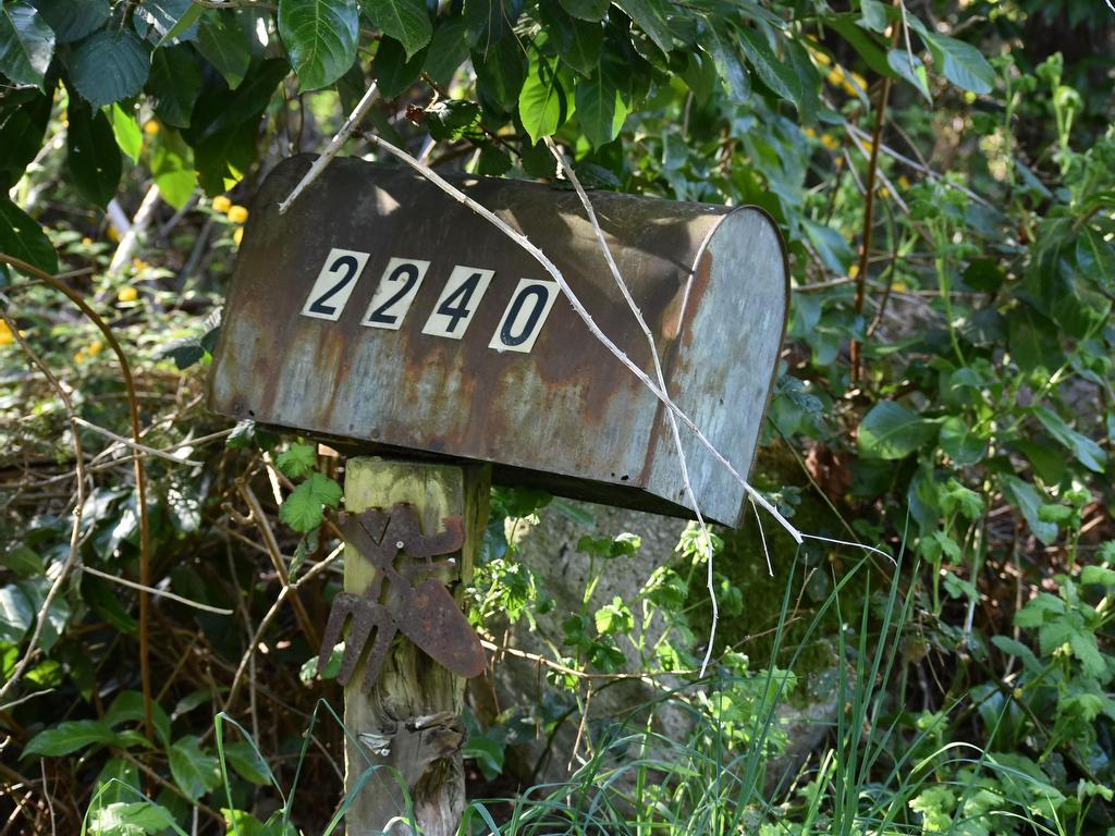 









2240


Oldershaw

Road,
Roberts Creek,




BC
V0N 2W5

