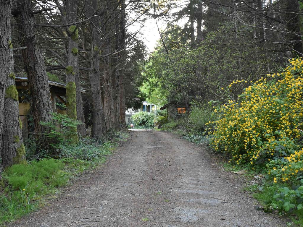 









2240


Oldershaw

Road,
Roberts Creek,




BC
V0N 2W5


