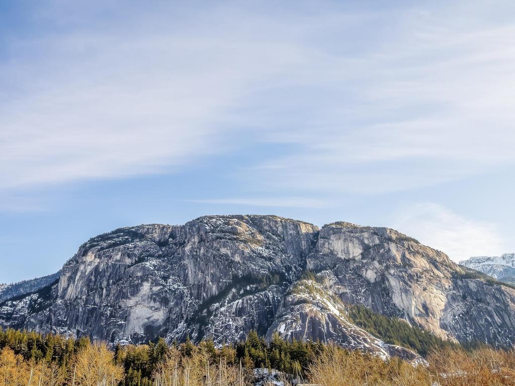 









37841


Cleveland

Avenue, 202,
Squamish,




BC
V8B 0S8

