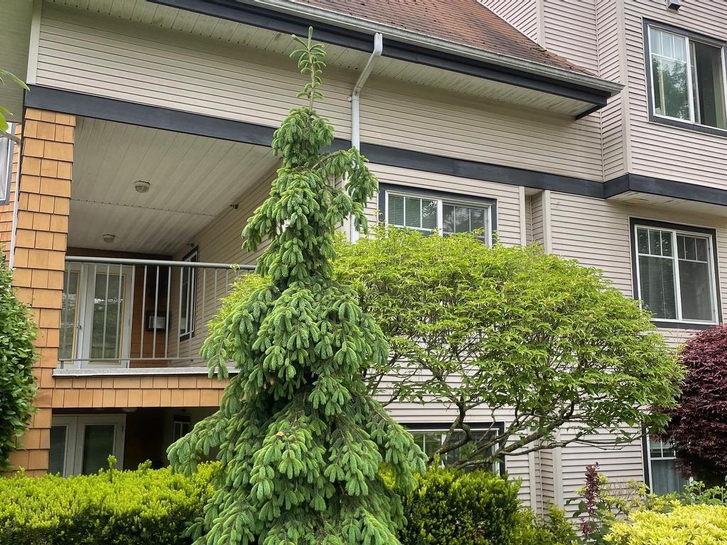 









12207


224

Street, 311,
Maple Ridge,




BC
V2X 6B9

