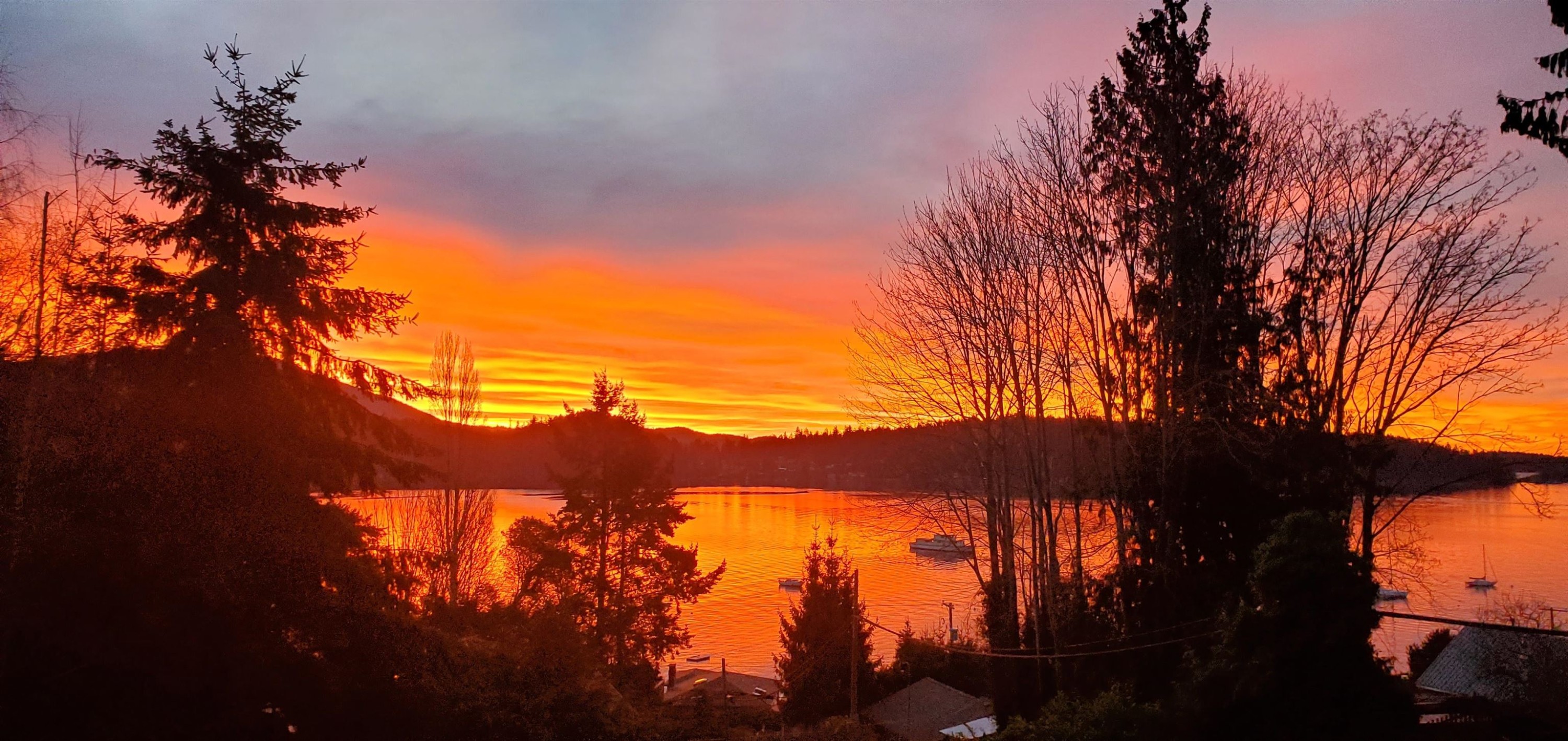 









586


Bals

Lane,
Gibsons,




BC
V0N 1V9

