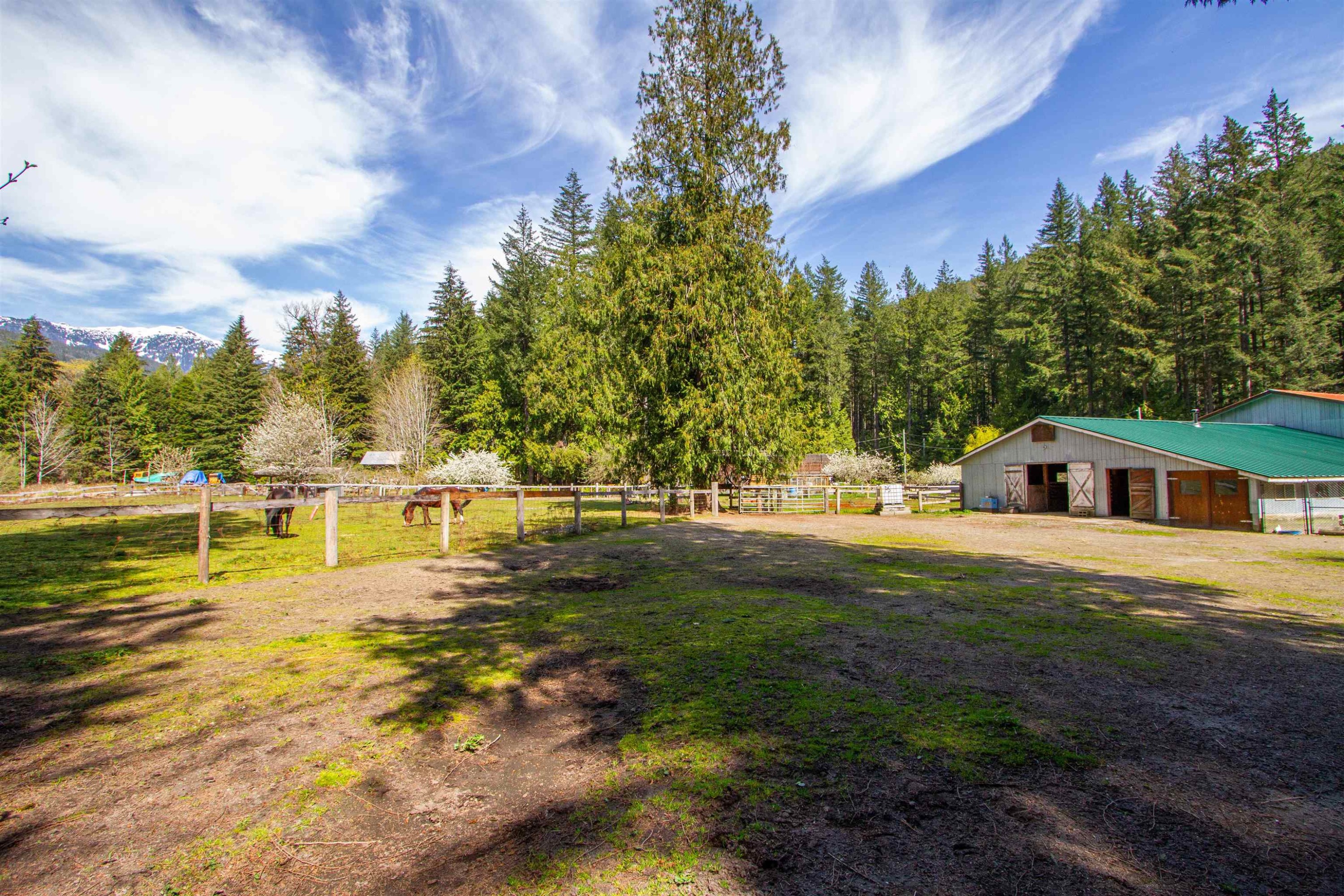 









8101


Paradise Valley

Road,
Squamish,




BC
V0N 1H0

