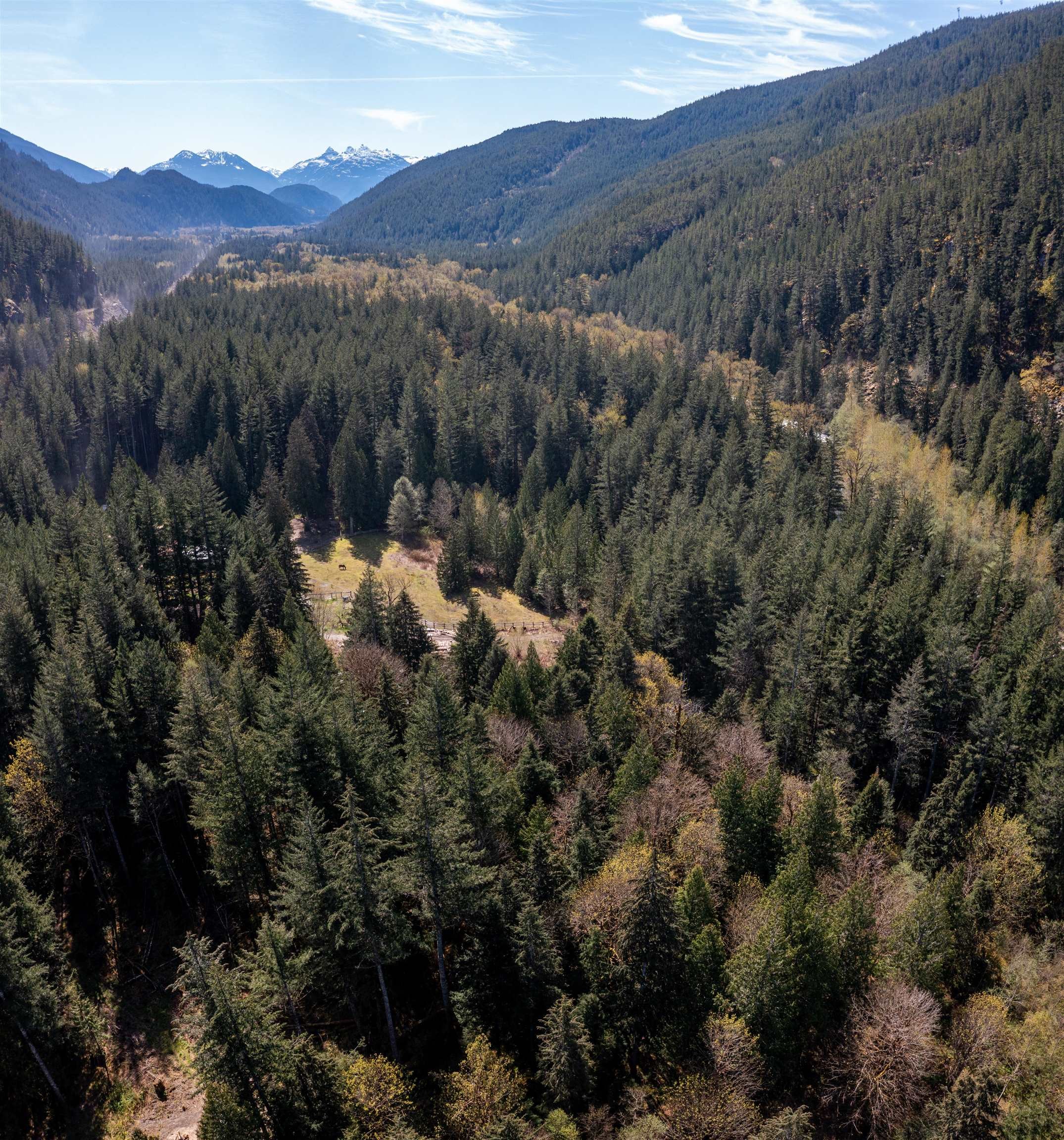 









8101


Paradise Valley

Road,
Squamish,




BC
V0N 1H0

