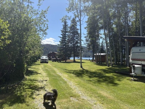 Featured Listing Photo 