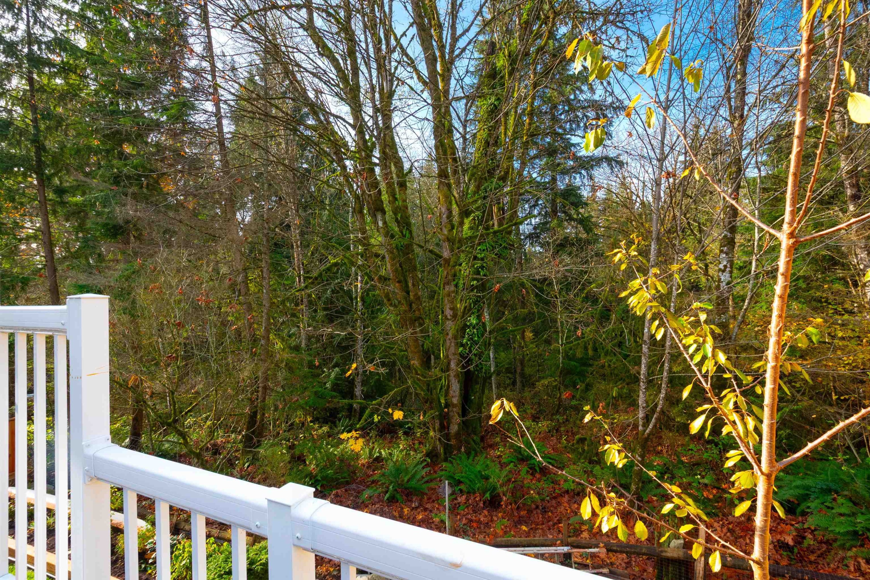 









13257


239b

Street,
Maple Ridge,




BC
V4R 0A3

