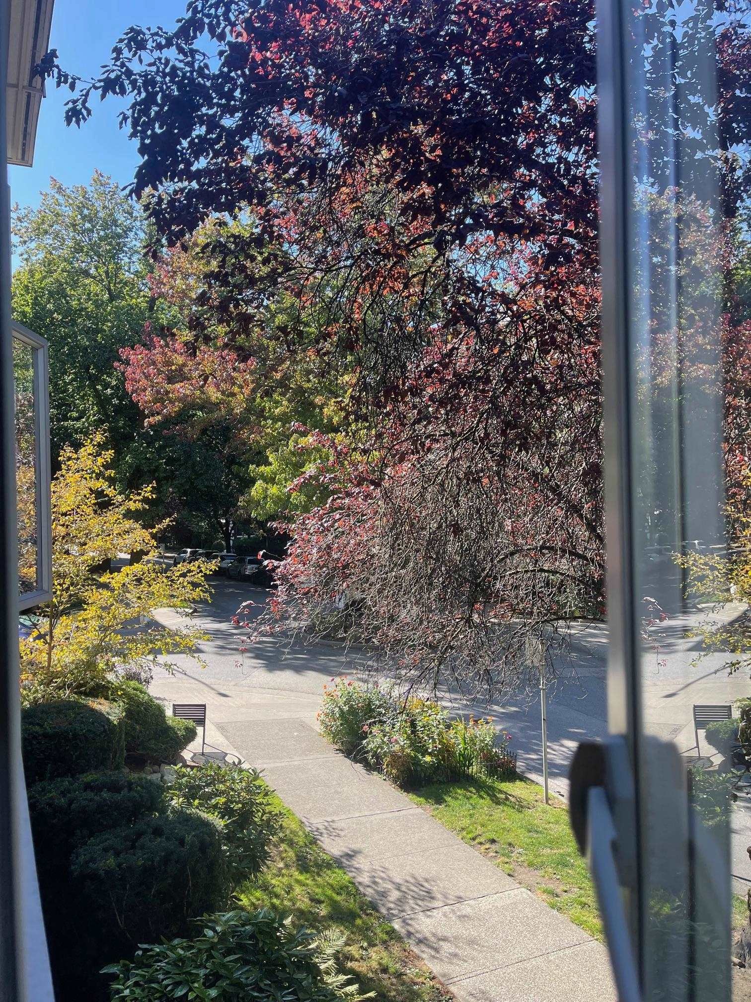 









1050


Jervis

Street, 210,
Vancouver,




BC
V6E 2C1

