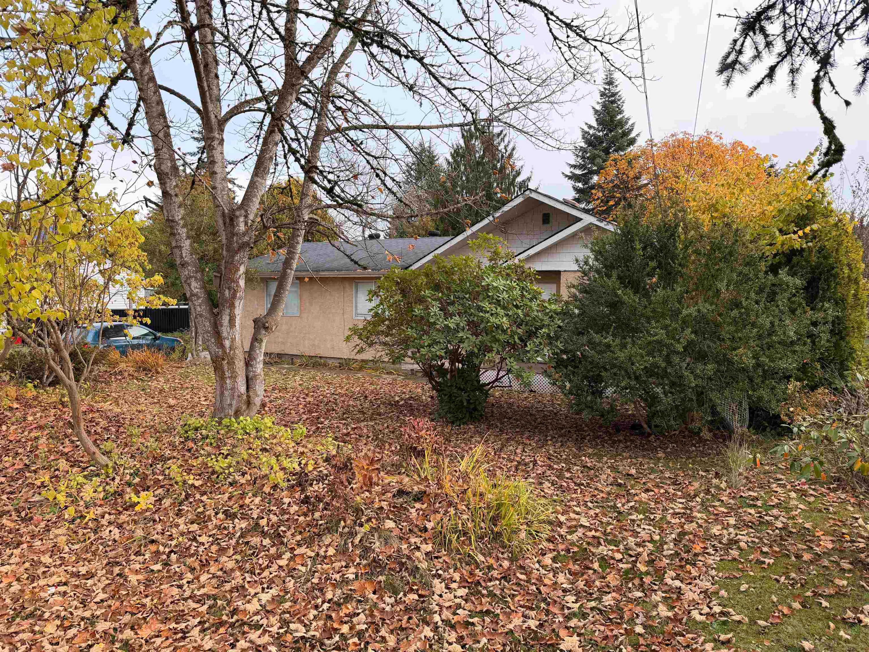 









12244


227

Street,
Maple Ridge,




BC
V2X 6J5

