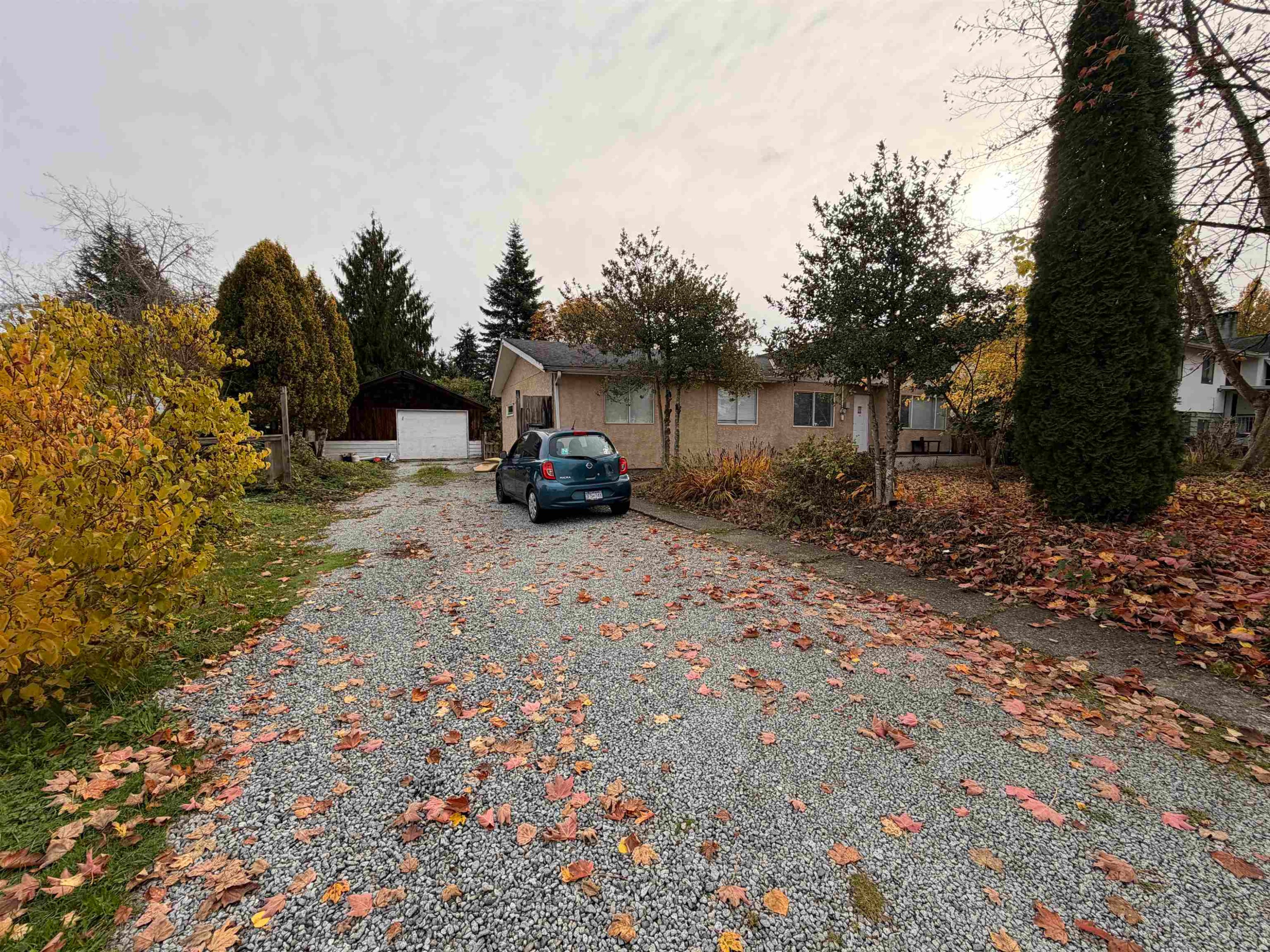 









12244


227

Street,
Maple Ridge,




BC
V2X 6J5

