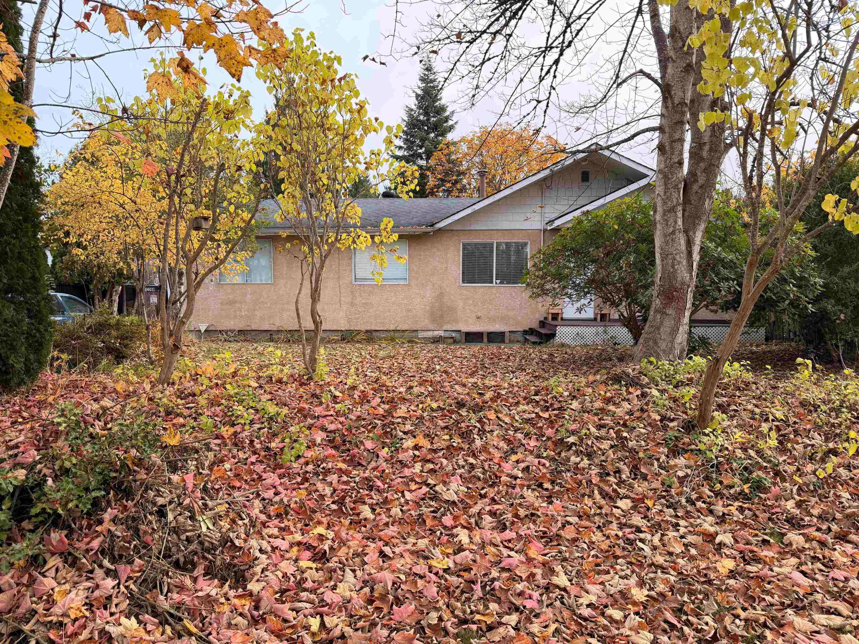 









12244


227

Street,
Maple Ridge,




BC
V2X 6J5

