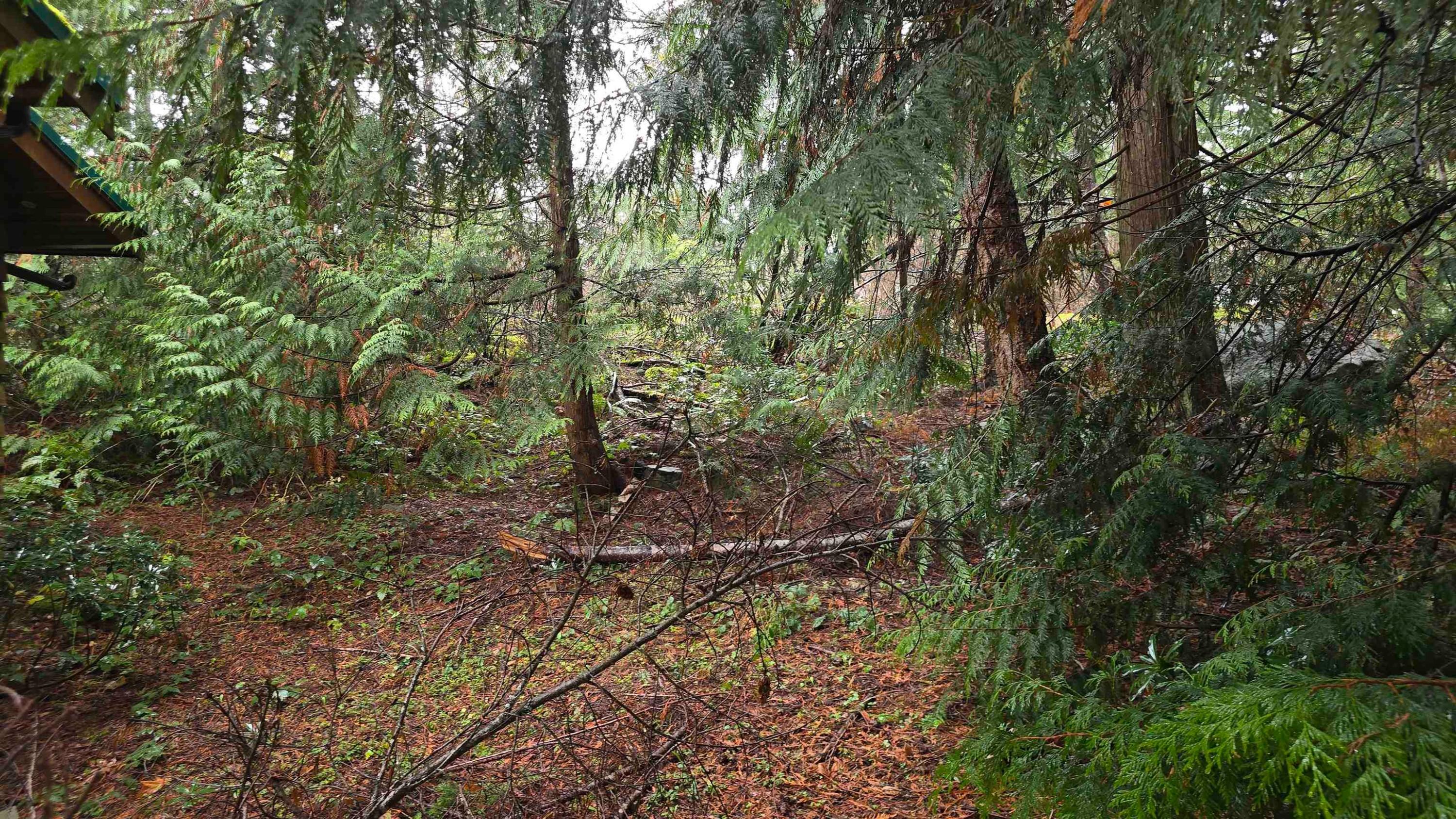 









4494


Rondeview

Road,
Madeira Park,




BC
V0N 2H1

