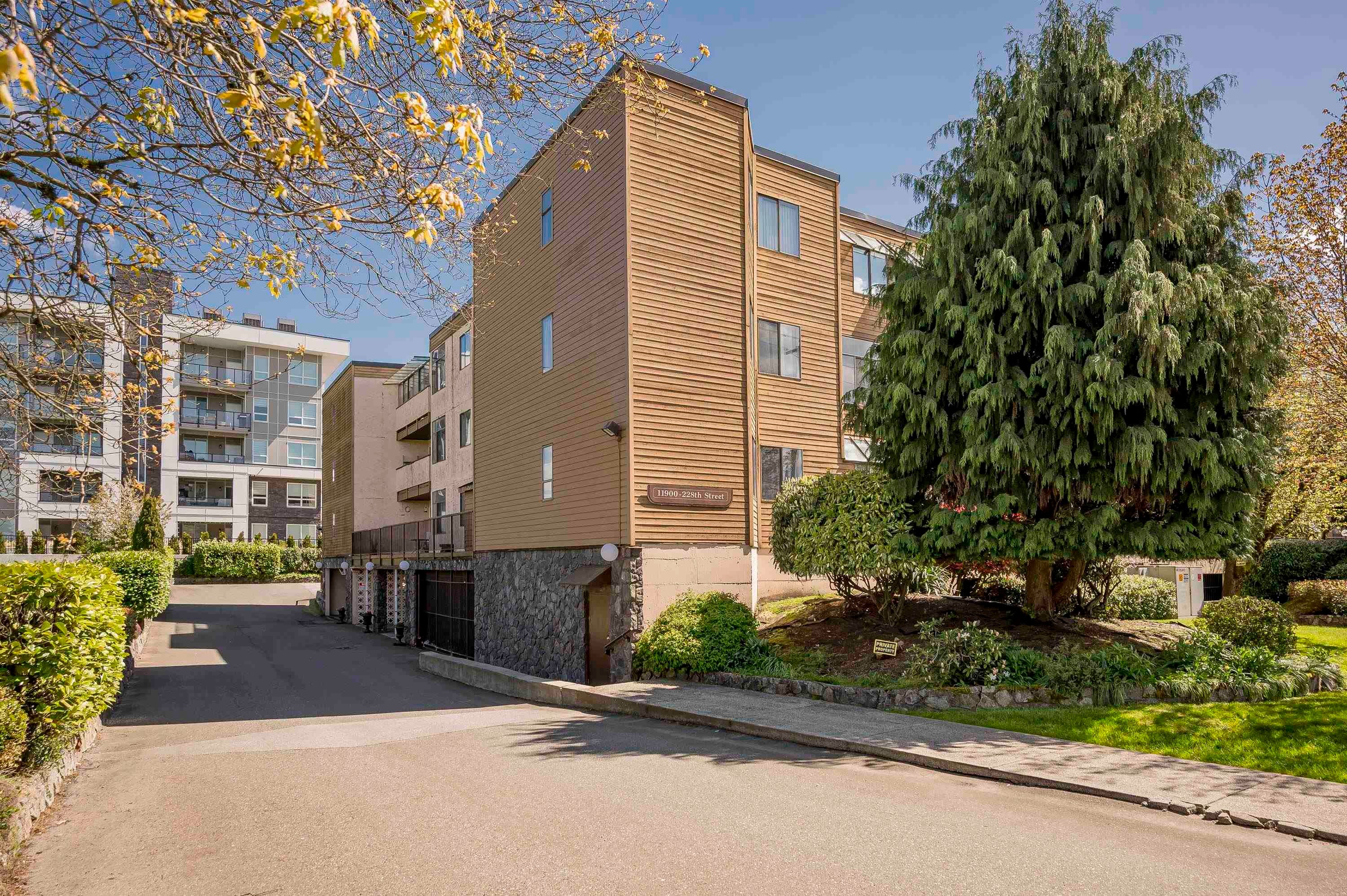 









11900


228

Street, 32,
Maple Ridge,




BC
V2X 6L9

