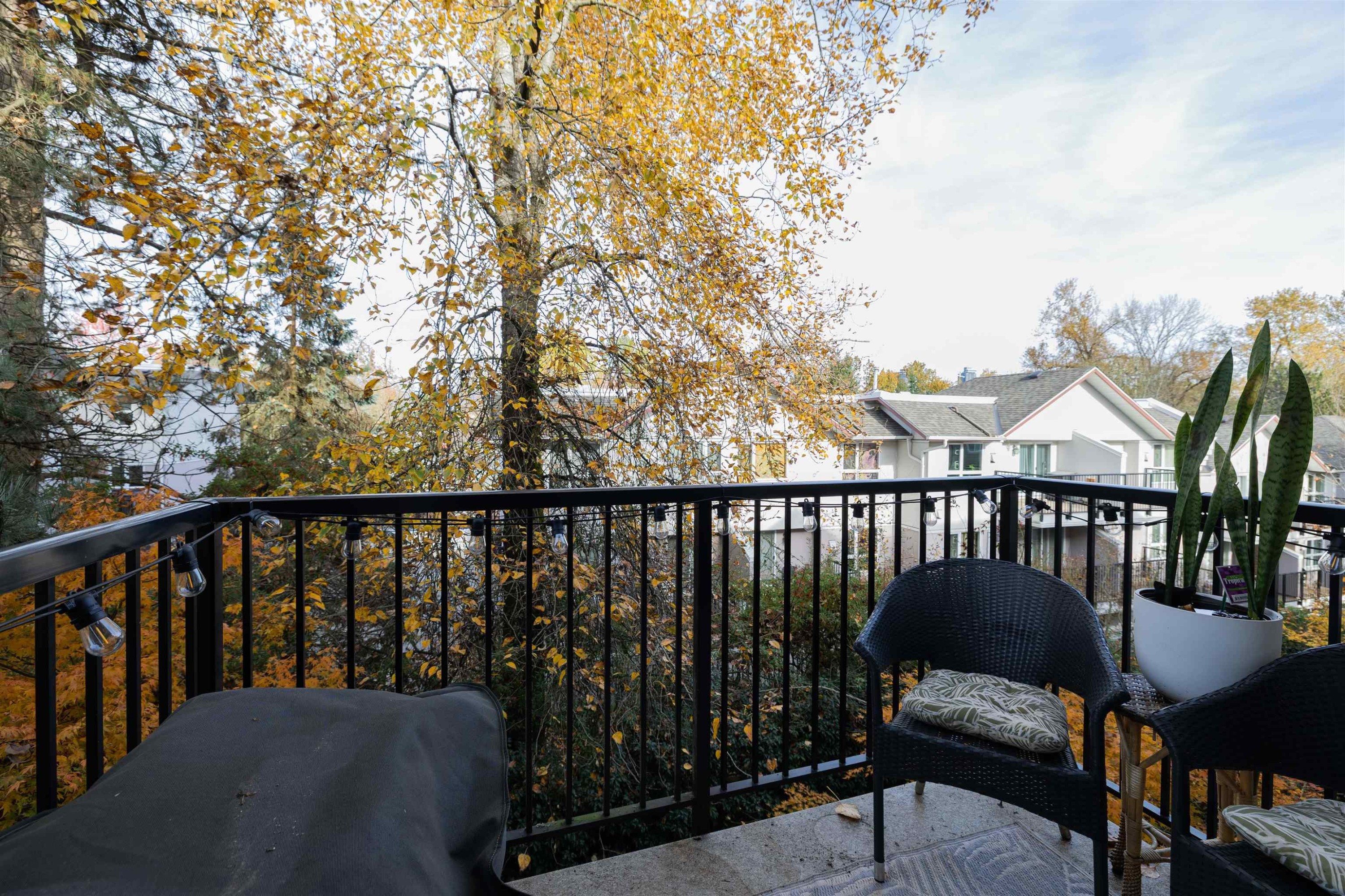 









3888


Norfolk

Street, 229,
Burnaby,




BC
V5G 1E5

