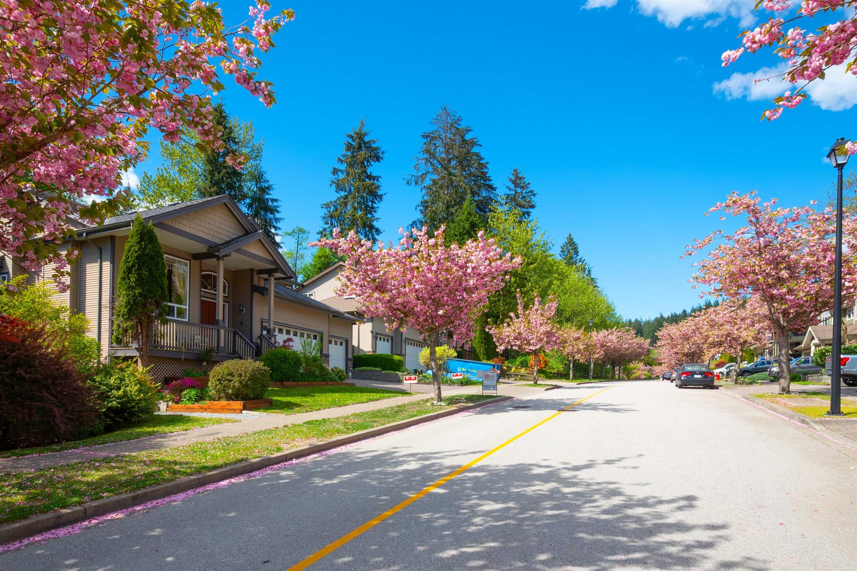 









13257


239b

Street,
Maple Ridge,




BC
V4R 0A3

