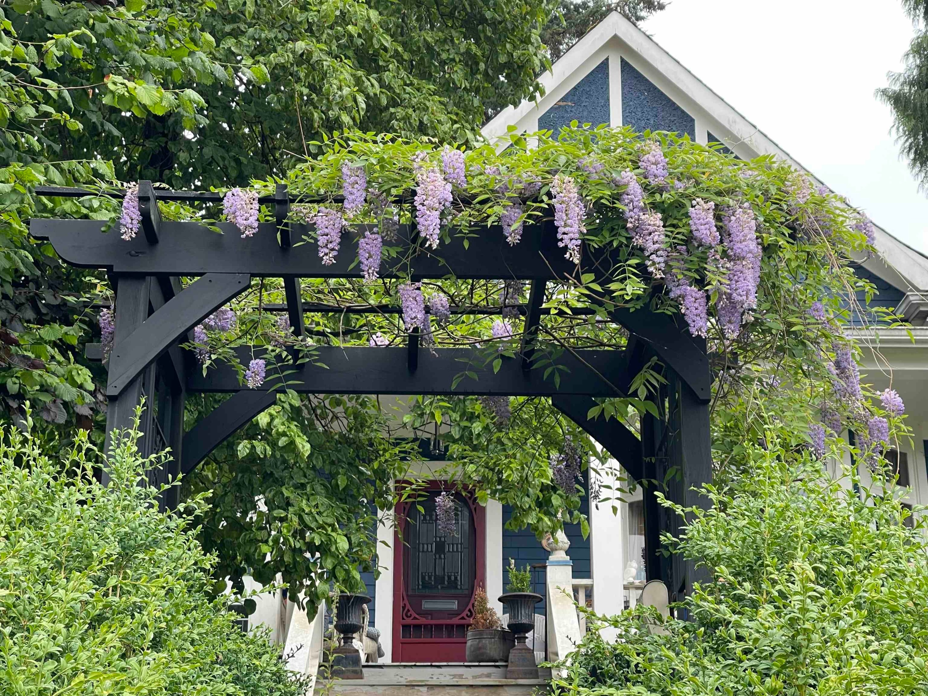 









2201


St George

Street,
Port Moody,




BC
V3H 2G1

