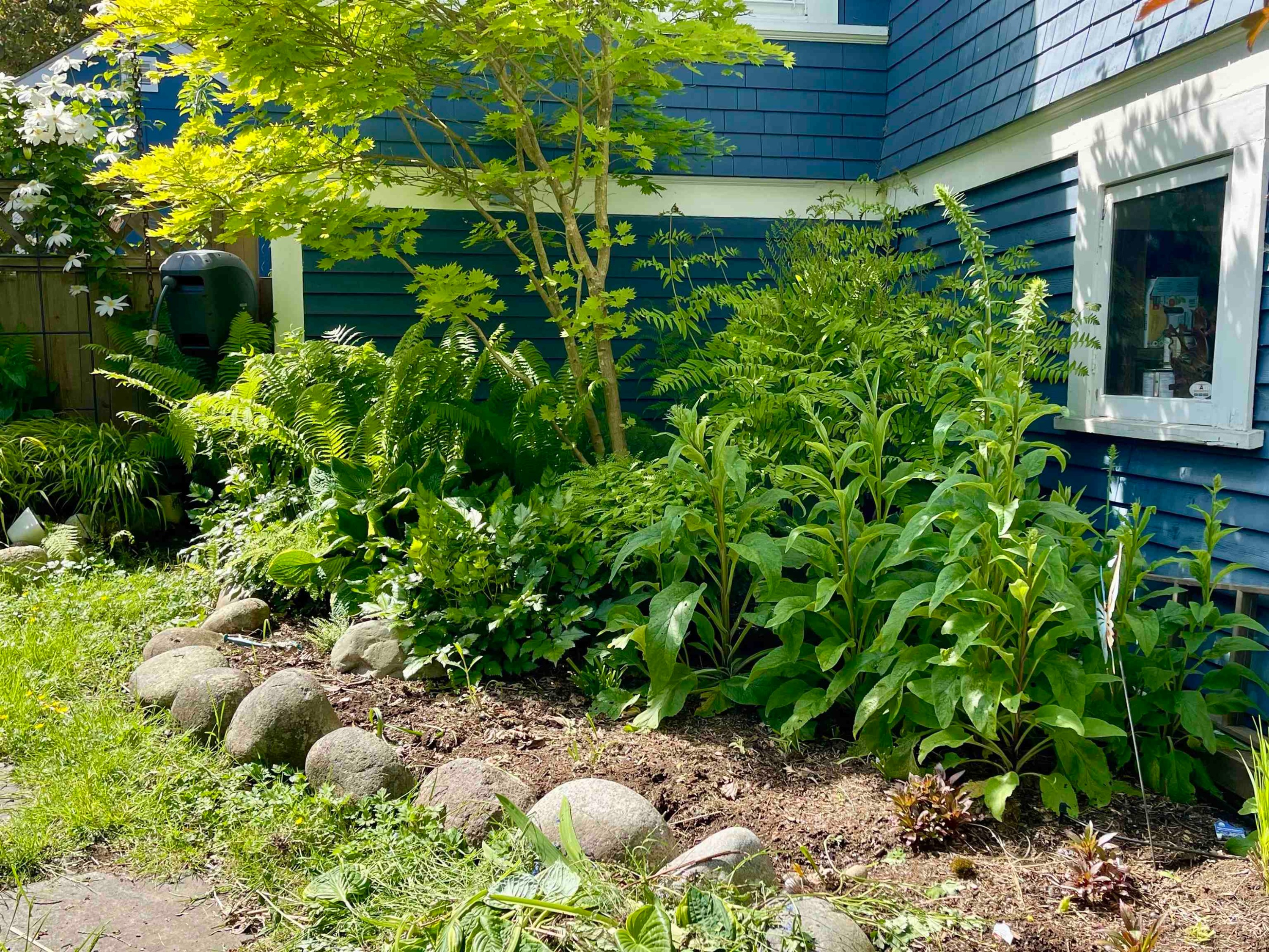 









2201


St George

Street,
Port Moody,




BC
V3H 2G1

