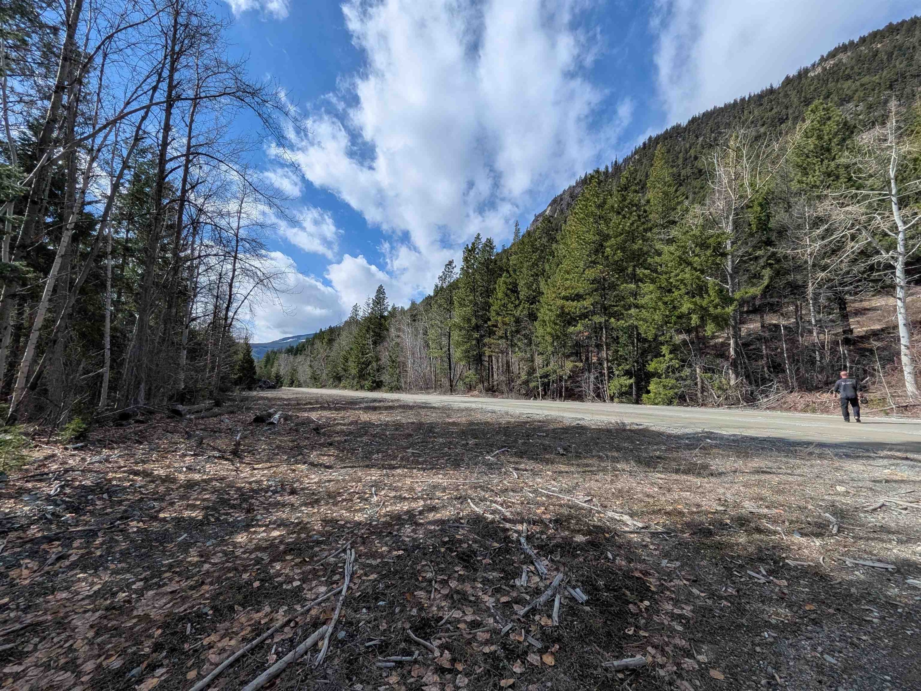 









8281


Gun Lake

Road,
No City Value,




BC
V0K 1P0

