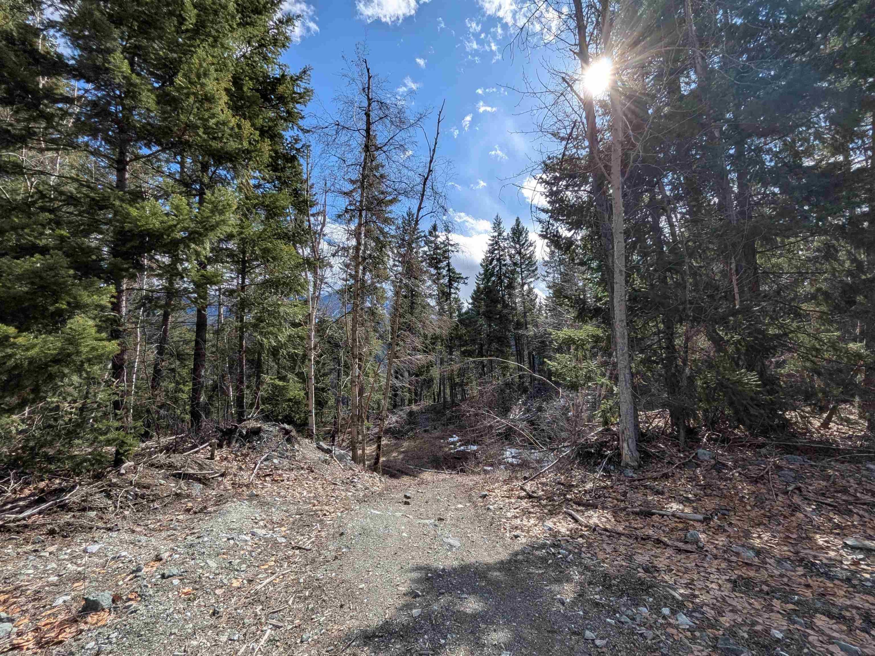 









8281


Gun Lake

Road,
No City Value,




BC
V0K 1P0

