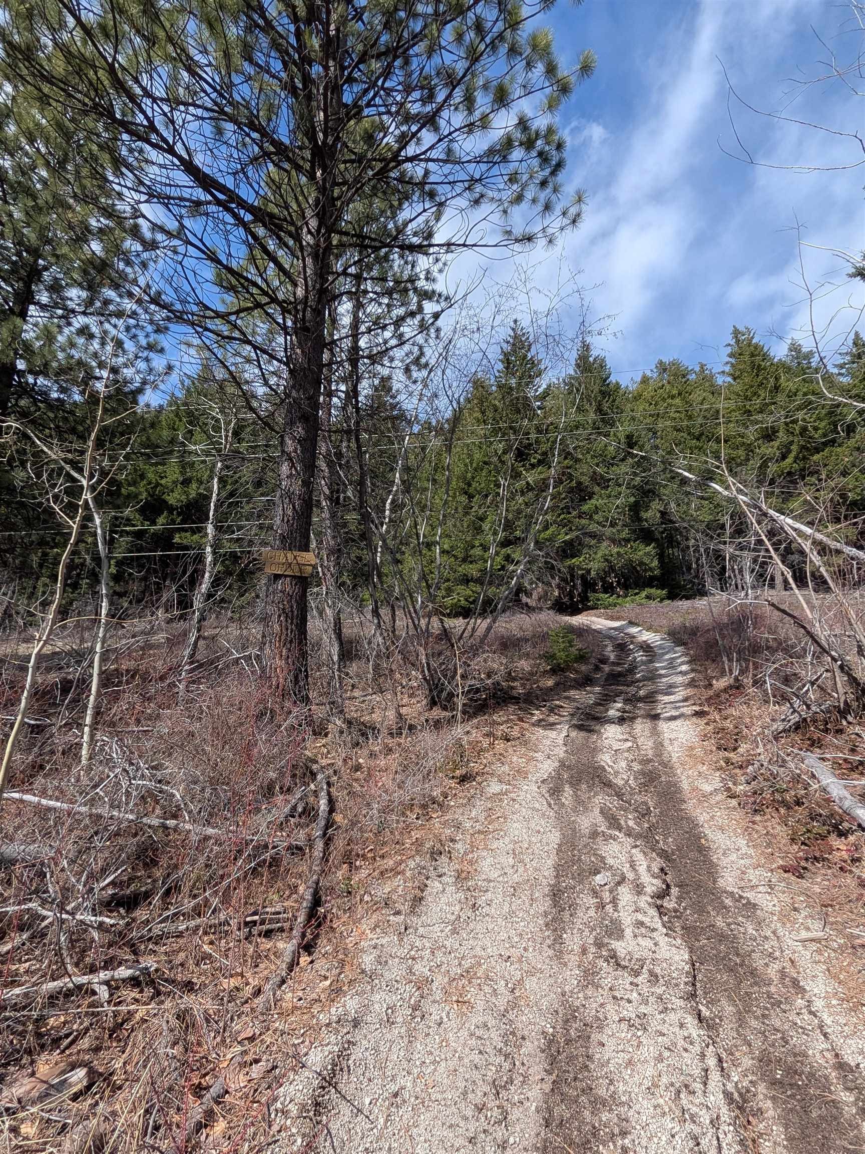 









8281


Gun Lake

Road,
No City Value,




BC
V0K 1P0

