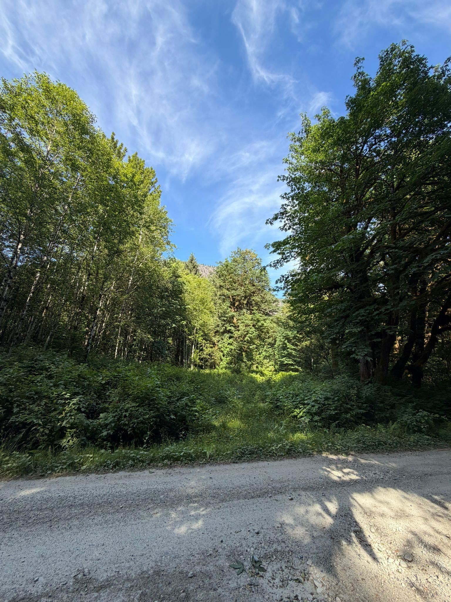 









5


Upper Pitt River

Road,
Pitt Meadows,







BC
V0M 1C0

