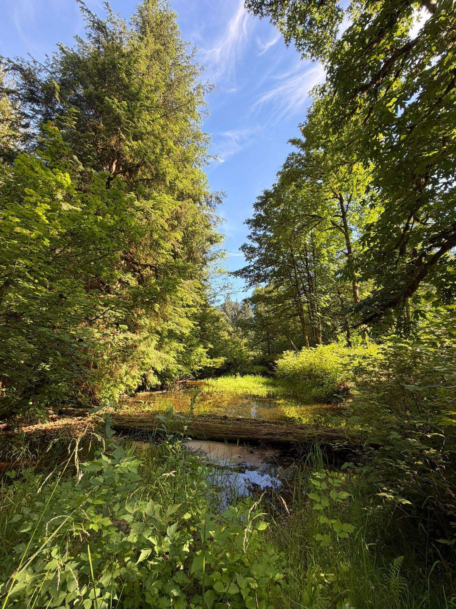 









5


Upper Pitt River

Road,
Pitt Meadows,







BC
V0M 1C0

