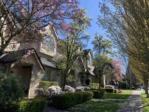 Featured Listing Photo 