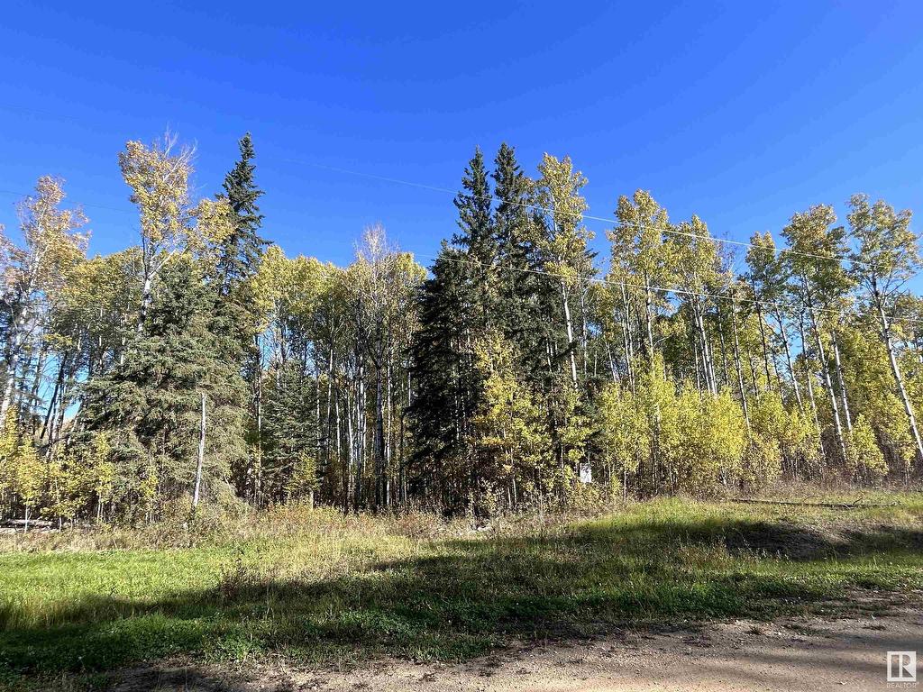 












Lot 5 Forest Road (RR 214)

,
Rural Athabasca County,







AB
T9S 1C4

