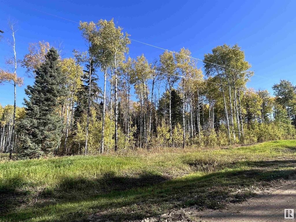 












Lot 7 Forest Road (RR 214)

,
Rural Athabasca County,







AB
T9S 1C4

