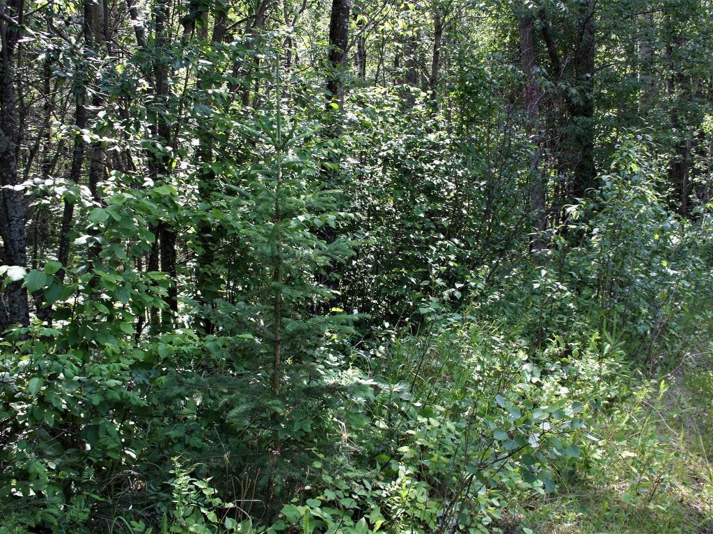 












1 652051 Rng Rd 224

,
Rural Athabasca County,







AB
T9S 1B9

